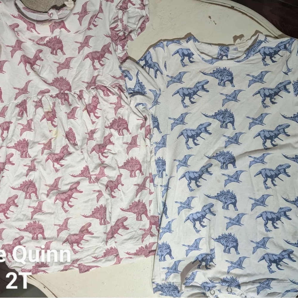 Kate Quinn Pink and Blue Dinosaur Kids Matching Set